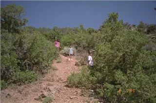 small_9508 0523 co paefIMG0020.webp